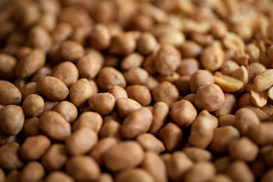 Close-up of groundnut kernels