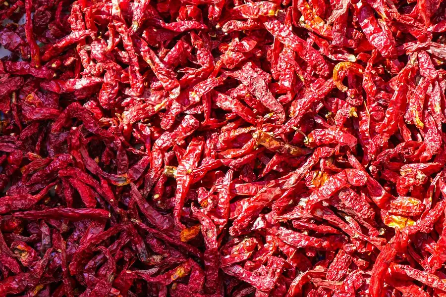 Pile of dried red chillies