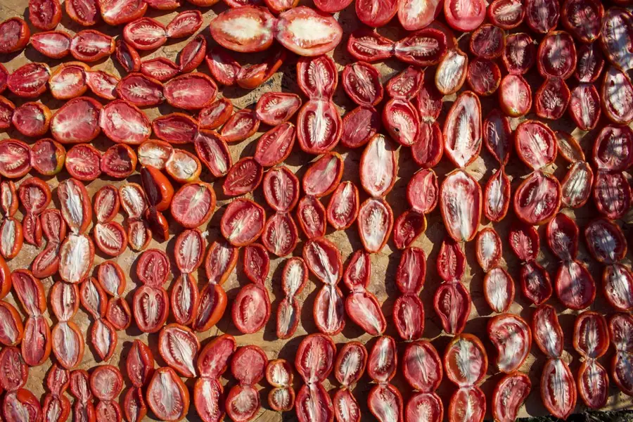 Sun-dried tomato halves laid out to dry